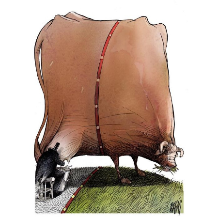 ماهیرا خان, همسر ماهیرا خان