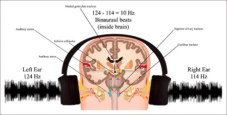 باینورال بیت , تاثیر باینورال بیت روی عملکرد مغز