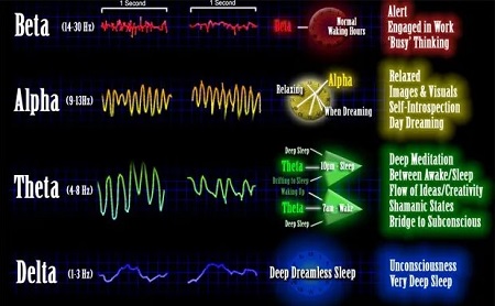 باینورال بیت ,انواع امواج در مغز انسان