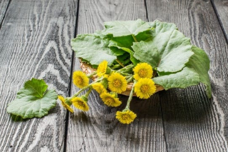 کلتفوت, کلتفوت برای آرتریت