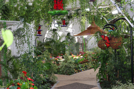 گردش در باغ پروانه دبی