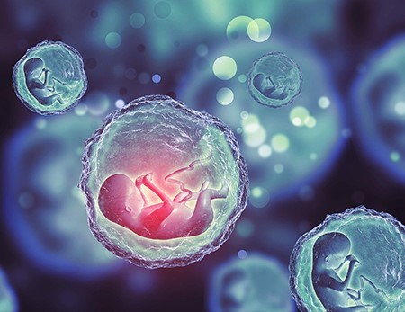 فریز جنین برای بارداری در آینده