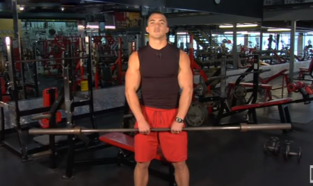 عضله سازی سرشانه