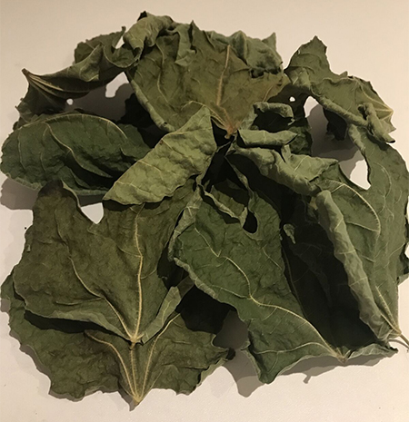 چای برگ انجیر , تفاله چای برای برگ انجیری, خشک کردن برگ برای چایی برگ انجیر