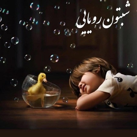 عکس نوشته شب بخیر زیبا,عکس نوشته شب بخیر,عکس نوشته شب بخیر زیبا و خاص