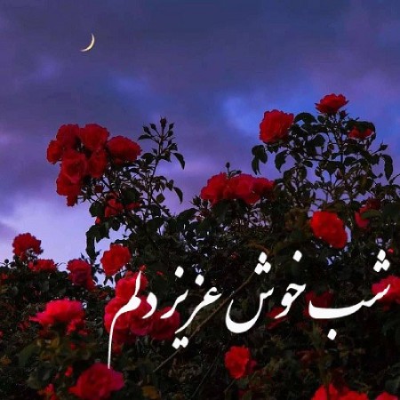 عکس نوشته شب بخیر زیبا,عکس نوشته شب بخیر,عکس نوشته های شب بخیر