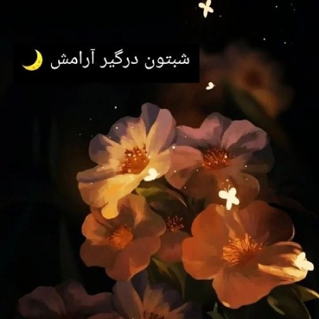 عکس نوشته شب بخیر زیبا,عکس نوشته شب بخیر,عکس نوشته رمانتیک برای شب بخیر گفتن