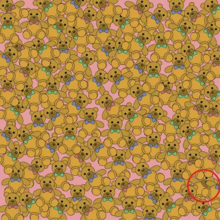  معما و تست هوش, معمای تست هوش جدید