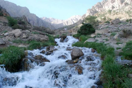 اقامت نزدیک چشمه مولا