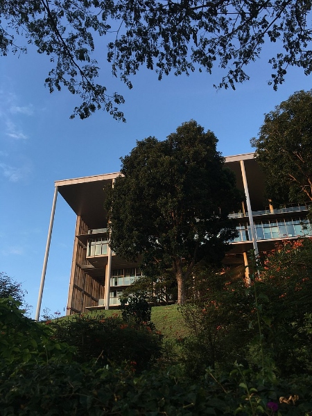 رتبه بندی جهانی دانشگاه ملی سنگاپور