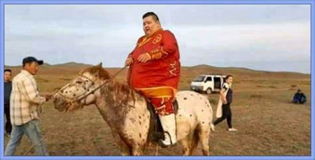  نوعی دیگراز حیوان‌آزاری استفاده ازحیوانات بیش از توان آن‌ها