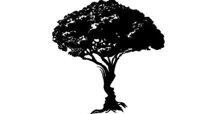 نحوه اجرا تست شخصیت در عشق