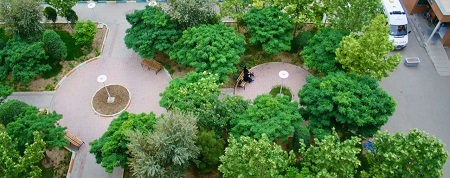 رشته های دانشگاه شریف, سردر دانشگاه شریف, کنفرانس دانشگاه شریف