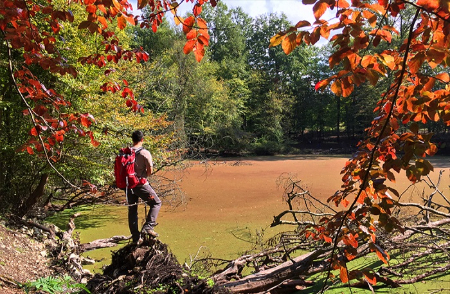 مرداب هسل نوشهر