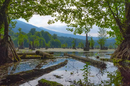 تالاب ارواح نوشهر