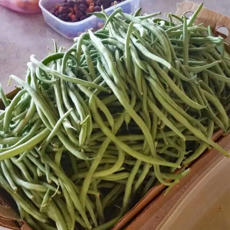 خواص مواد مغذی لوبیا سبز