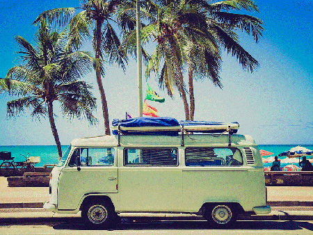 حیات‌وحش آفریقا, سفر به آفریقا,تور چین