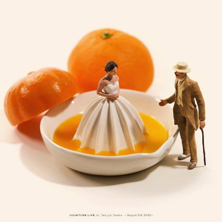 صحنه های مینیاتوری, دنیای شگفت انگیز مینیاتور