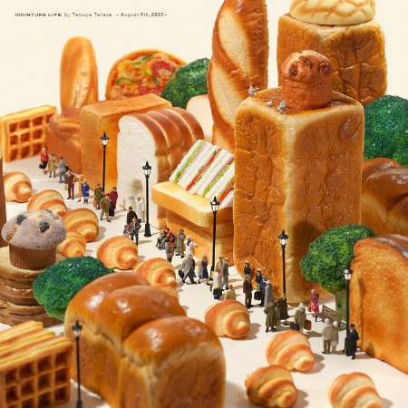 صحنه های مینیاتوری, دنیای شگفت انگیز مینیاتور