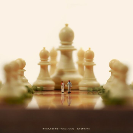 صحنه های مینیاتوری, دنیای شگفت انگیز مینیاتور