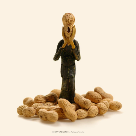 صحنه های مینیاتوری, دنیای شگفت انگیز مینیاتور