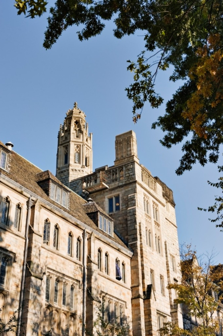 رشته‌های تحصیلی دانشگاه ییل