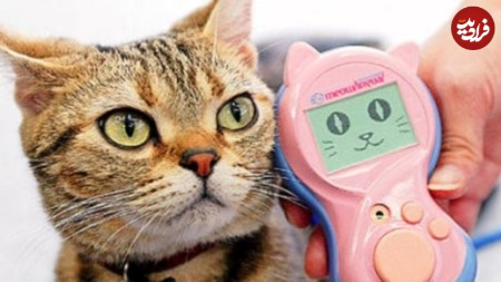  ایده‌های عجیب و غریب,اخبارگوناگون,خبرهای گوناگون 