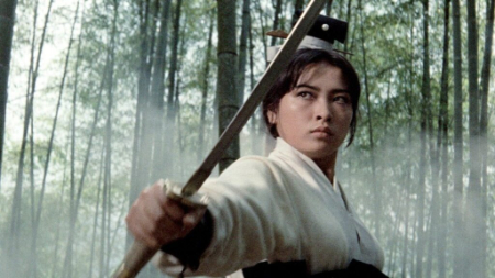 ژانر هنرهای رزمی  ,اخبار فرهنگی,خبرهای فرهنگی 