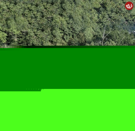  غار بتنی در دل جنگل,اخبارگوناگون,خبرهای گوناگون 