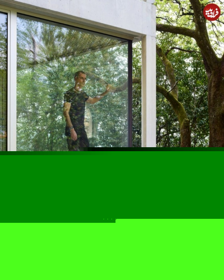  غار بتنی در دل جنگل,اخبارگوناگون,خبرهای گوناگون 