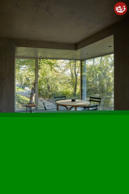  غار بتنی در دل جنگل,اخبارگوناگون,خبرهای گوناگون 