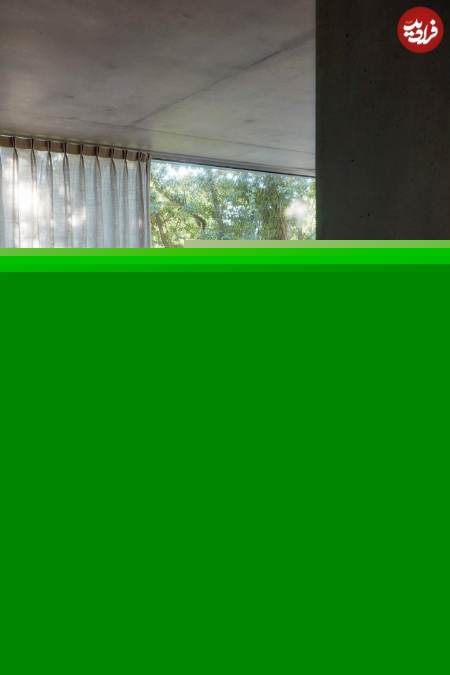  غار بتنی در دل جنگل,اخبارگوناگون,خبرهای گوناگون 