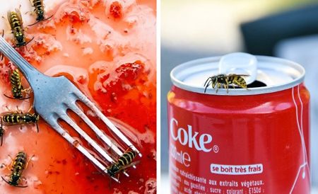 کاربرد نوشابه در باغداری,موارد کاربرد نوشابه