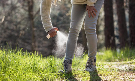 چیگر, نیش چیگر