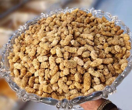 خشک کردن توت سفید در خانه,طرز خشک کردن توت سفید