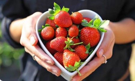 معایب خوردن توت فرنگی در دوران بارداری