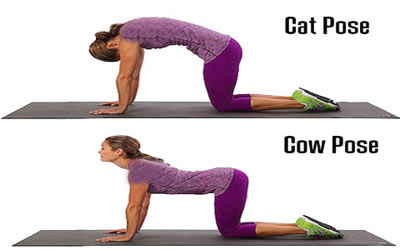 یوگا,آموزش حرکات یوگا,ورزش برای کاهش استرس