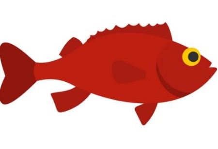 شعر کودکانه‌ماهی سرخ از علی روستایی