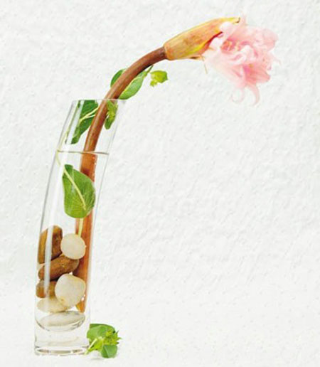 مدل گلدان,جدیدترین مدل گلدان