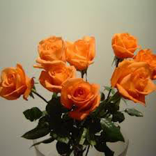 نشانه‌هایی برای عشق ومحبت , نشانه رنگ گل های رز, 