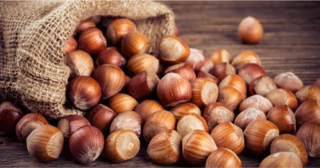 انواع فندق در ایران