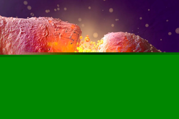  ذخیره اطلاعات در مغز انسان ,اخبار علمی ,خبرهای علمی 