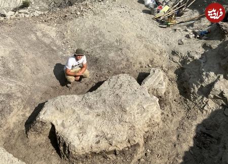 فسیل،اخبار گوناگون،خبرهای گوناگون