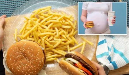 میل به غذاهای فست فود در دوران بارداری