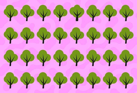 معما تصویری, معما تصویری با جواب