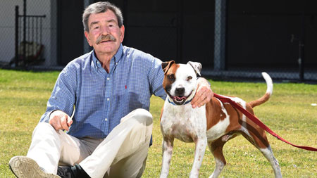 قانون نگهداری حیوان در آپارتمان,نگهداری حیوان در آپارتمان ,آیا نگهداری حیوانات در آپارتمان مجاز است