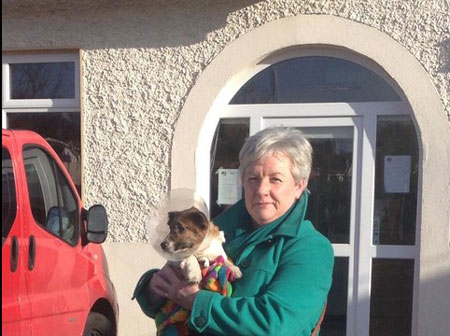 قانون نگهداری حیوان در آپارتمان,نگهداری حیوان در آپارتمان ,قانون نگهداری سگ در آپارتمان