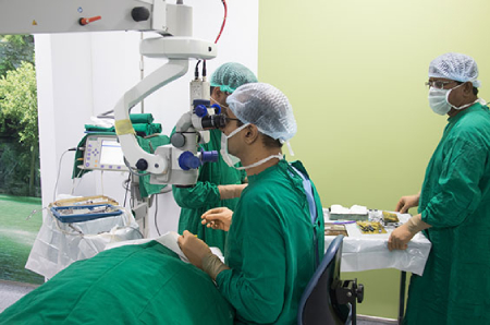 روانشناسی رنگ سبز,خواص روانی رنگ سبز,فضاهای سبز