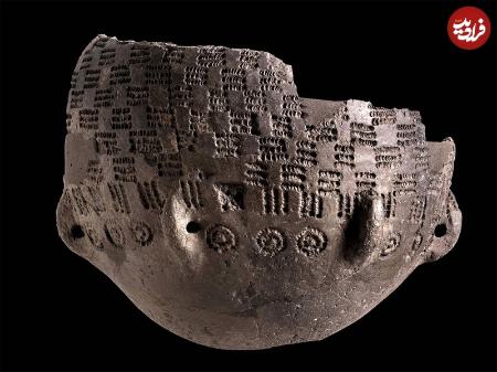 بقایای اسکلت یک مرد میانسال،اخبار گوناگون،خبرهای گوناگون