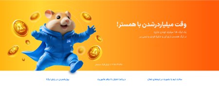 لیگ همستر بیت24 چیست؟